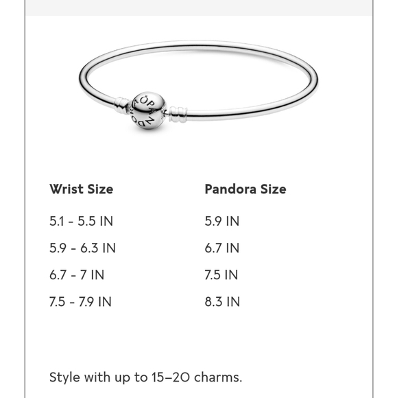 Pandora Moments Sterling Bangle Bracelet - Picture 8 of 8